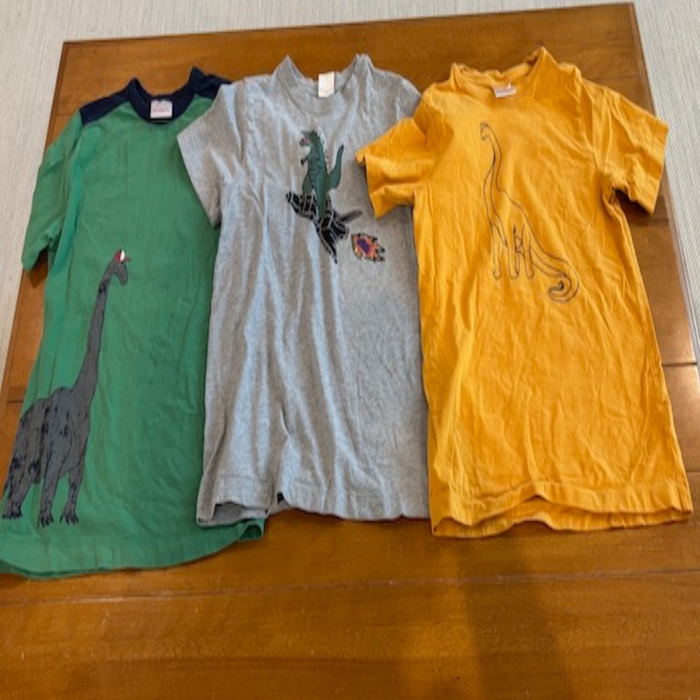 Lot of 3 Hanna Anderson Boys Short Sleeve T-Shirts Dinosaur Sz 140cm (10)